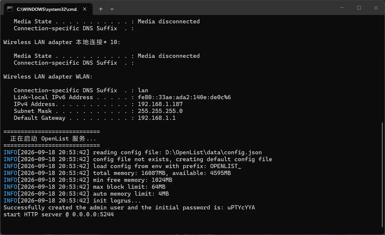 ipconfig 输出